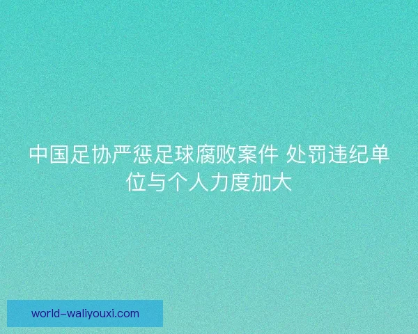 中国足协严惩足球腐败案件 处罚违纪单位与个人力度加大